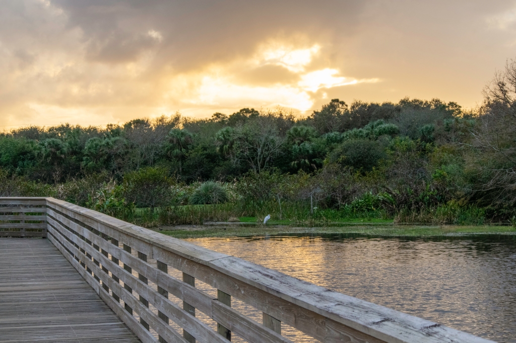 Photo of a boardwalk and sunset.